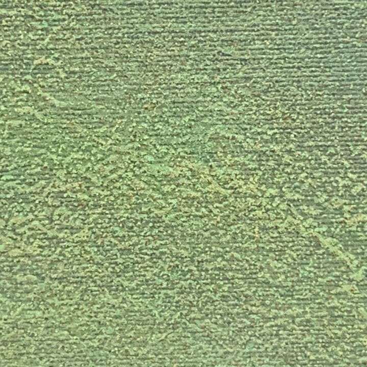 金島桂華 眞筆保證書 初夏 日本画家　金島　桂華