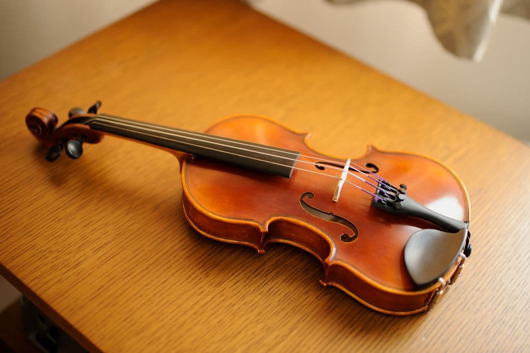 GCV　Violin set No.017　1/10　ヴァイオリン　バイオリン