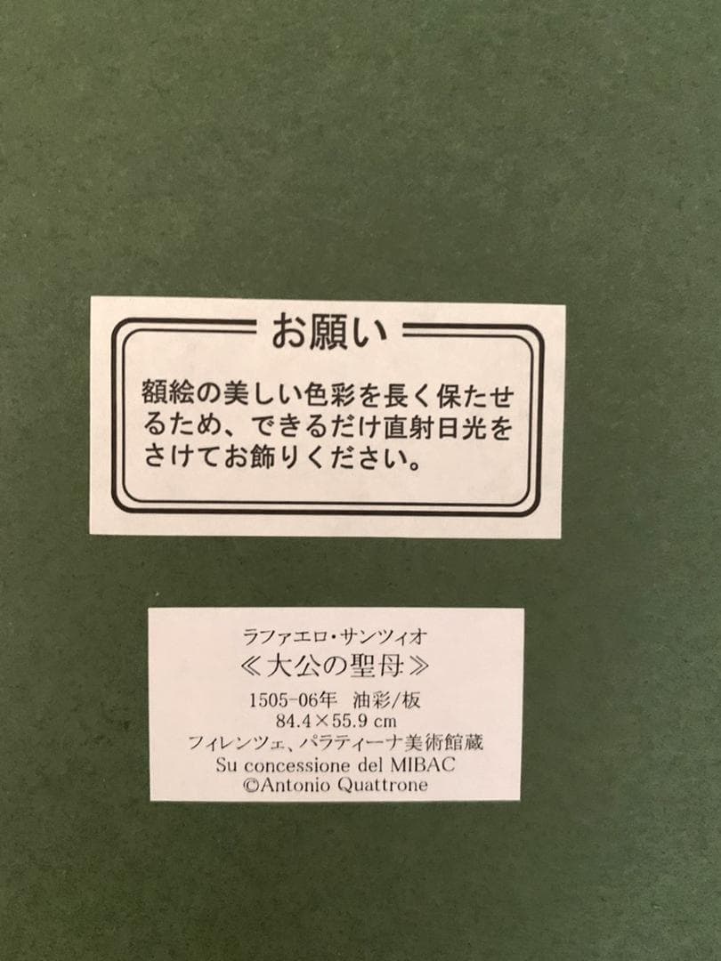 ラファエロ 「大公の聖母」 印刷画 額縁付き 額縁 額装 金縁