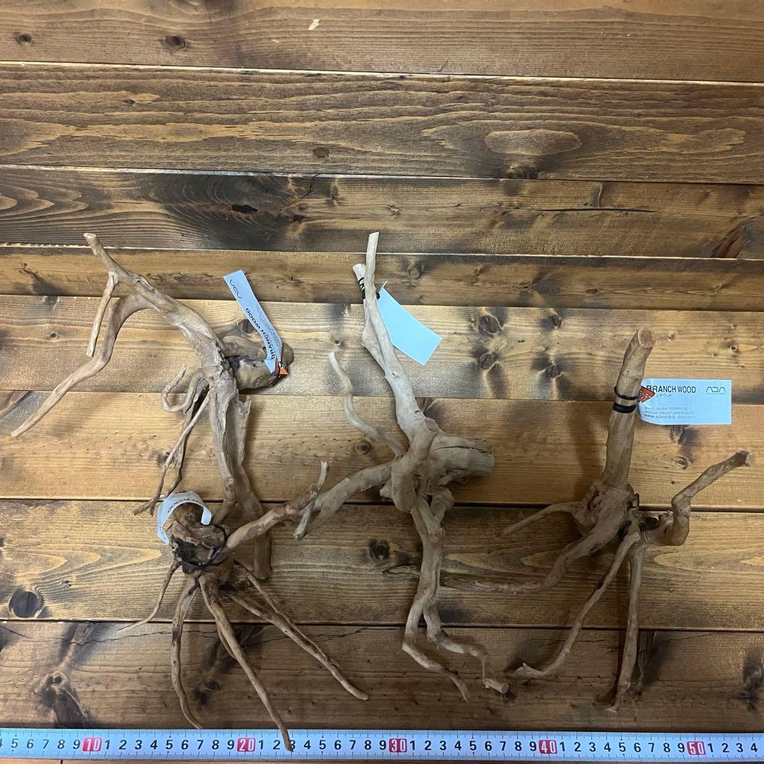 【厳選流木】　ADA社　ブランチウッド4本　2025年カレンダーおまけ付き