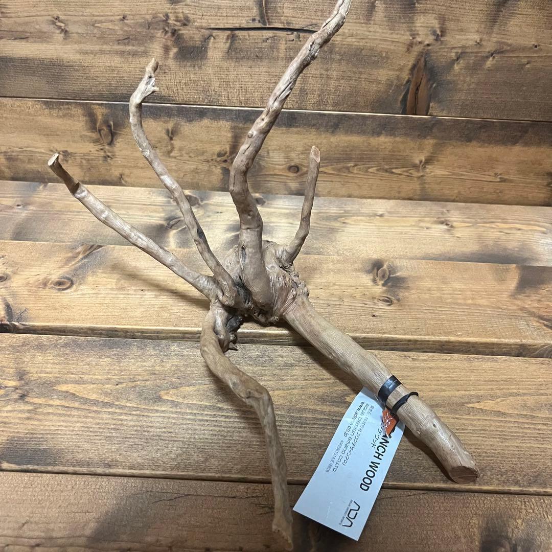 【厳選流木】　ADA社　ブランチウッド4本　2025年カレンダーおまけ付き