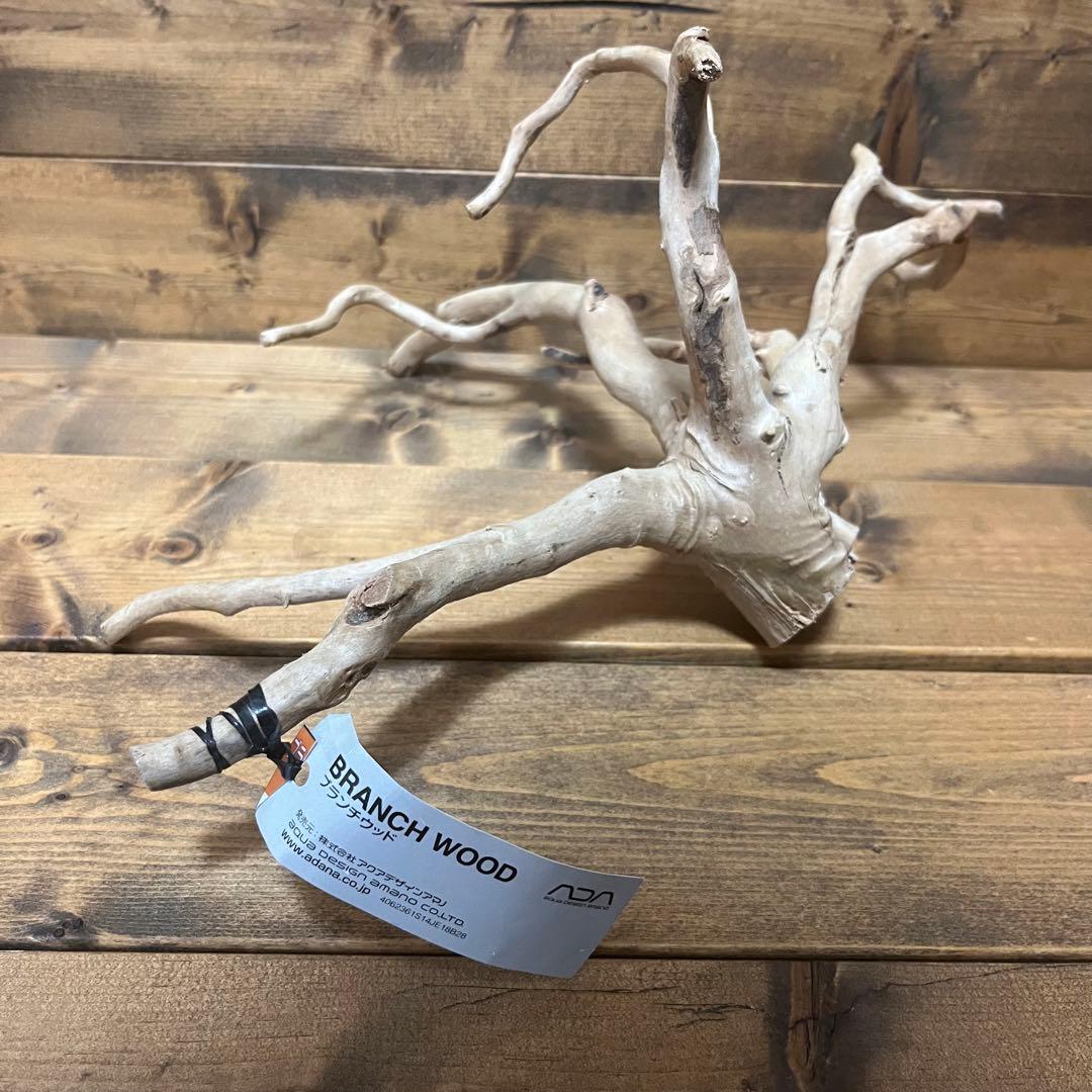 【厳選流木】　ADA社　ブランチウッド4本　2025年カレンダーおまけ付き