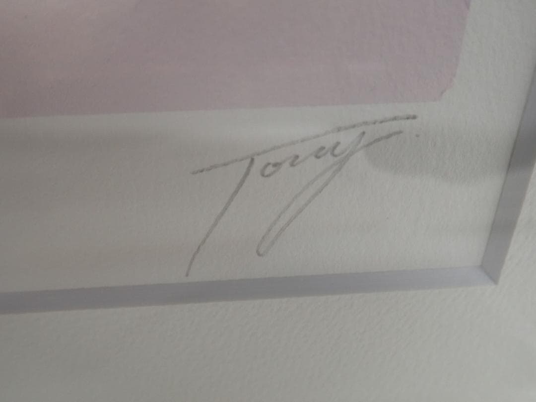 ㉙新品・保証書付 Tony　トニー「クレハ」ミクスドメディア アールビバン