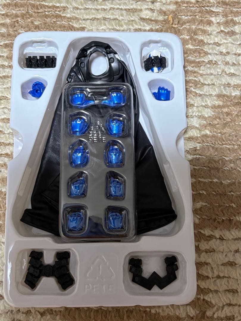 すいげつ　S.H.Figuarts 真骨彫製法 仮面ライダーエターナル