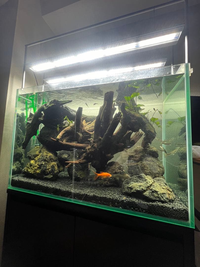 コトブキ レグラスブラック 900 ハイタイプ 北海道 帯広