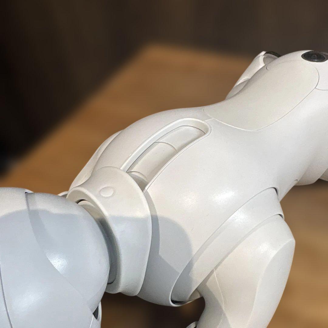 aibo アイボ