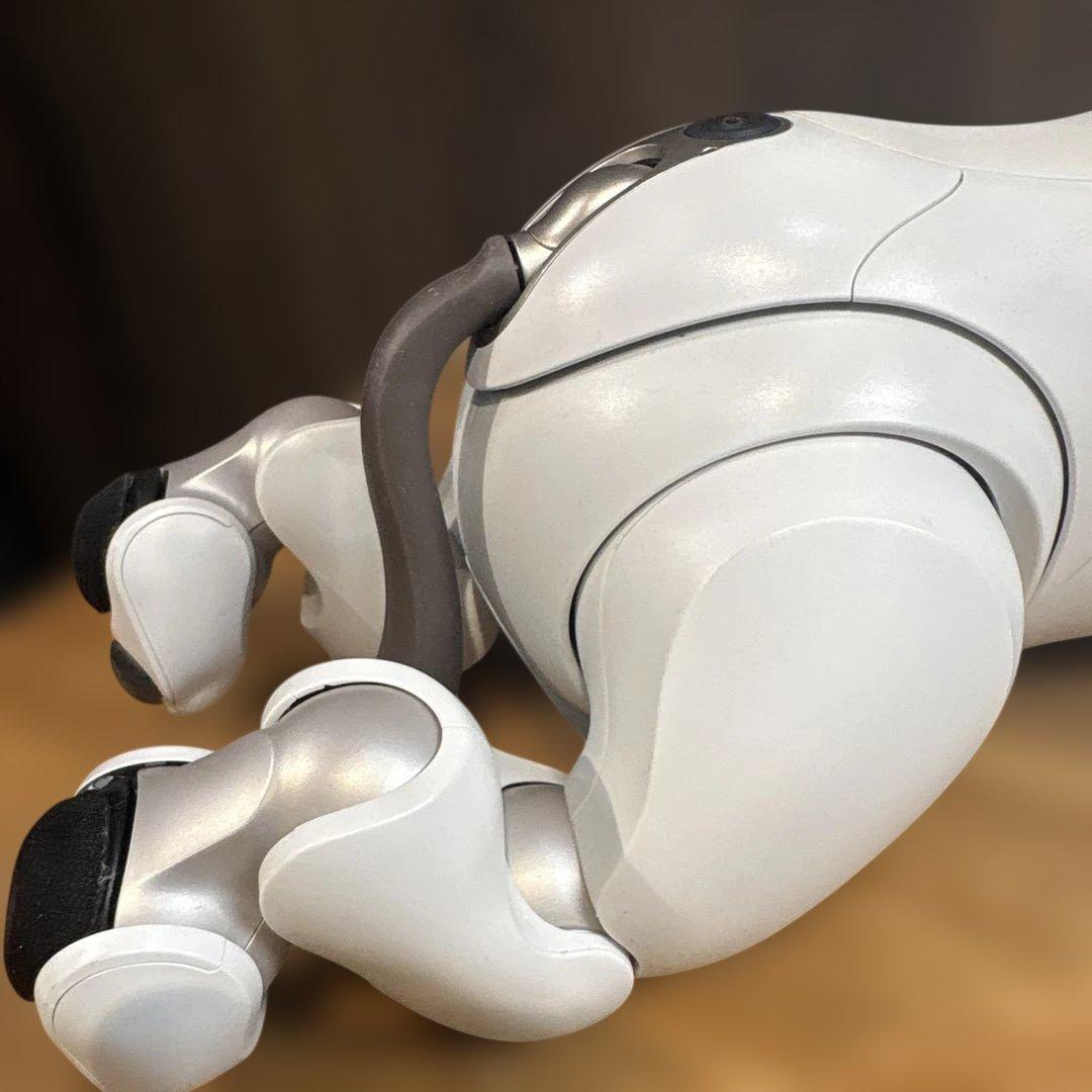 aibo アイボ