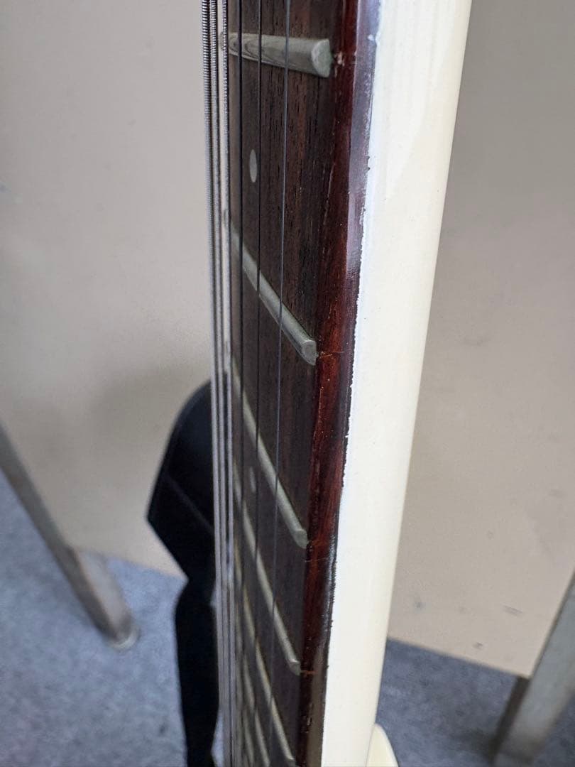 ⭐️希少⭐️ Aria Pro II（アリアプロII）　Black Dog