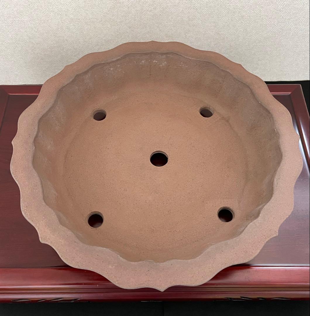 盆栽鉢 植木鉢 輪花鉢 佳山