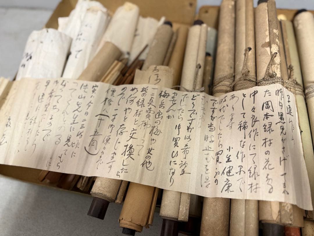 W 和歌山県 画家作品 掛軸 扇子 めくり短冊等まとめて（掛軸20本）