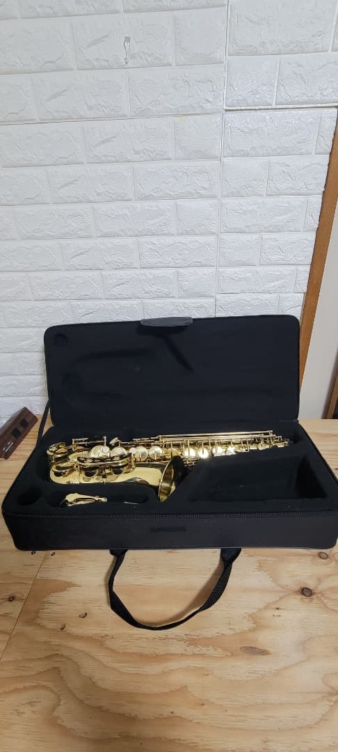 PLAYTECH アルトサックス 本体美品 PTAS-200