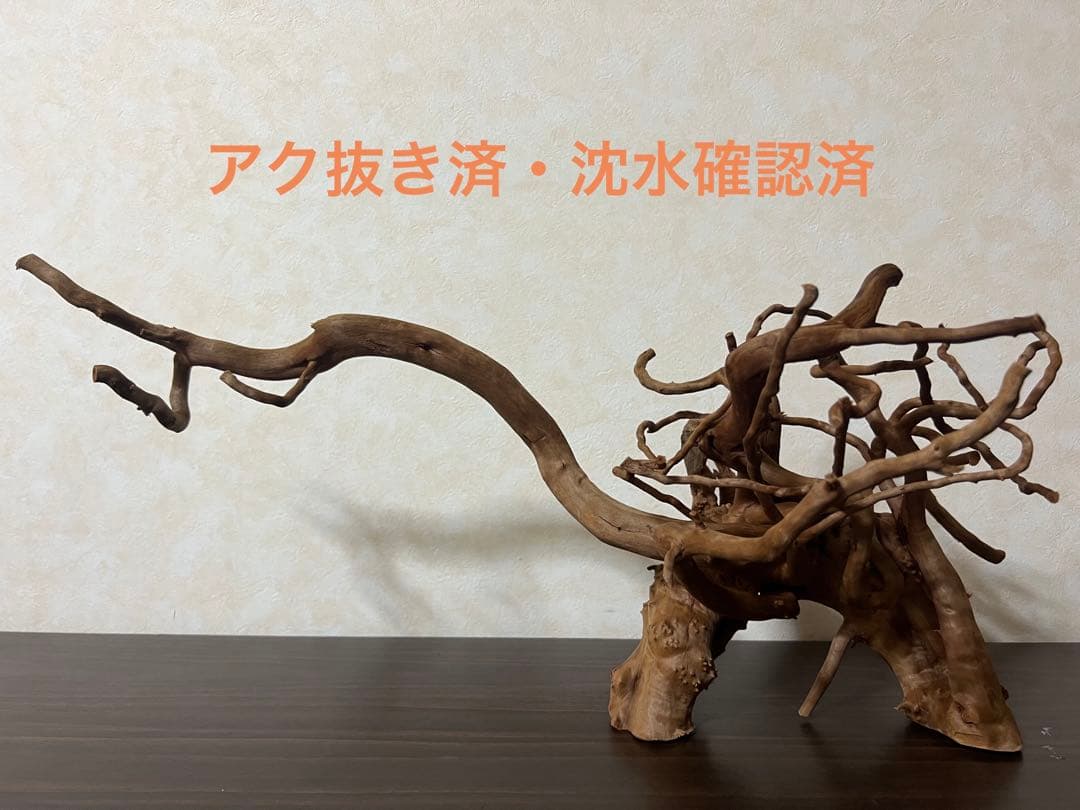 71015 ブランチウッド　流木　アクアリウム　沈水確認済