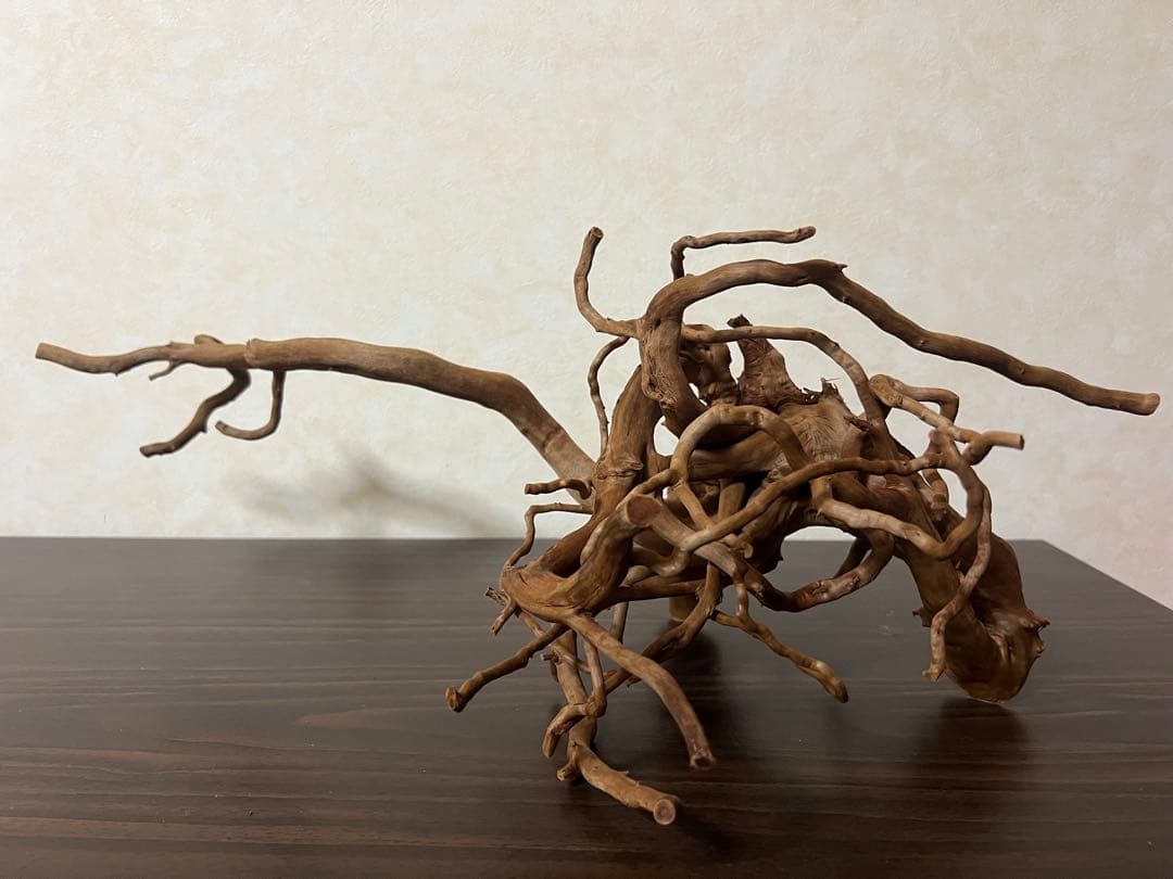 71015 ブランチウッド　流木　アクアリウム　沈水確認済