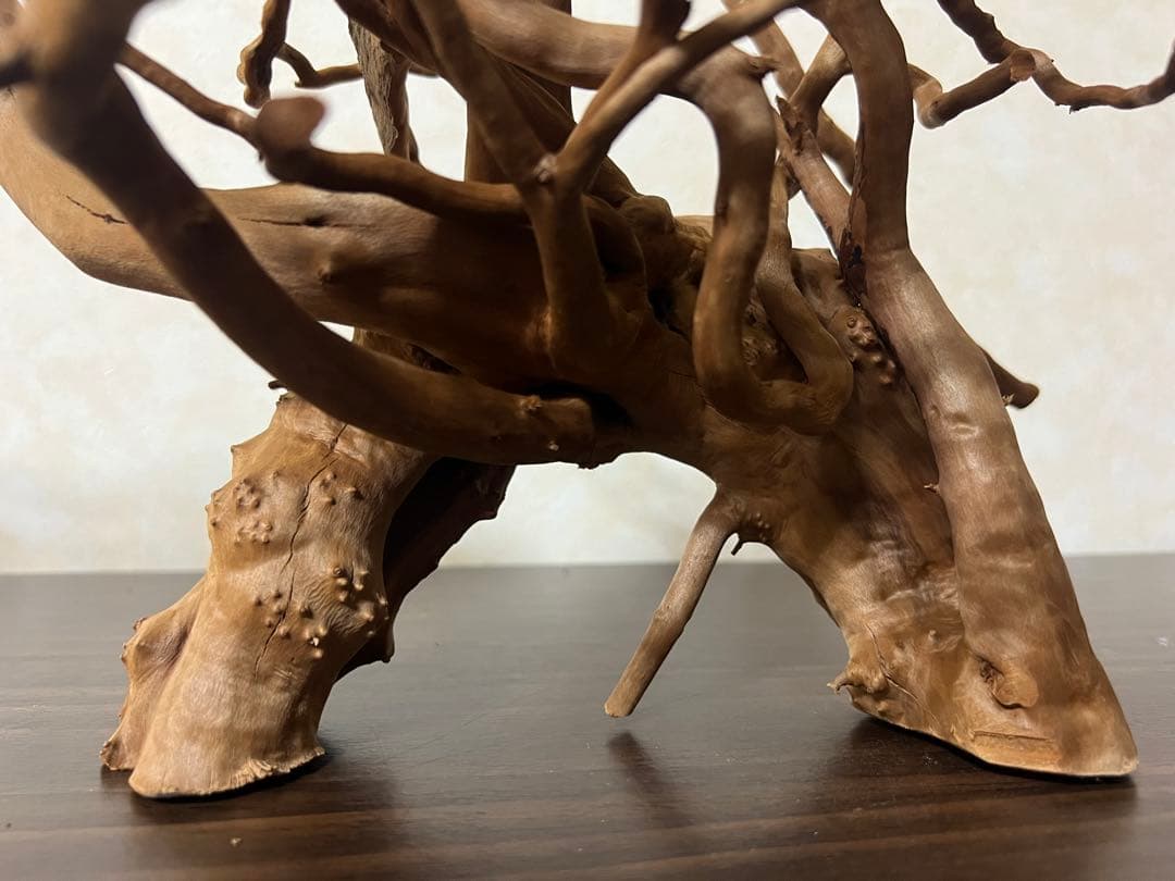 71015 ブランチウッド　流木　アクアリウム　沈水確認済