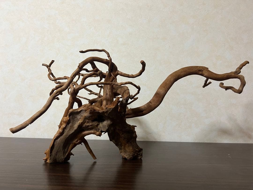 71015 ブランチウッド　流木　アクアリウム　沈水確認済