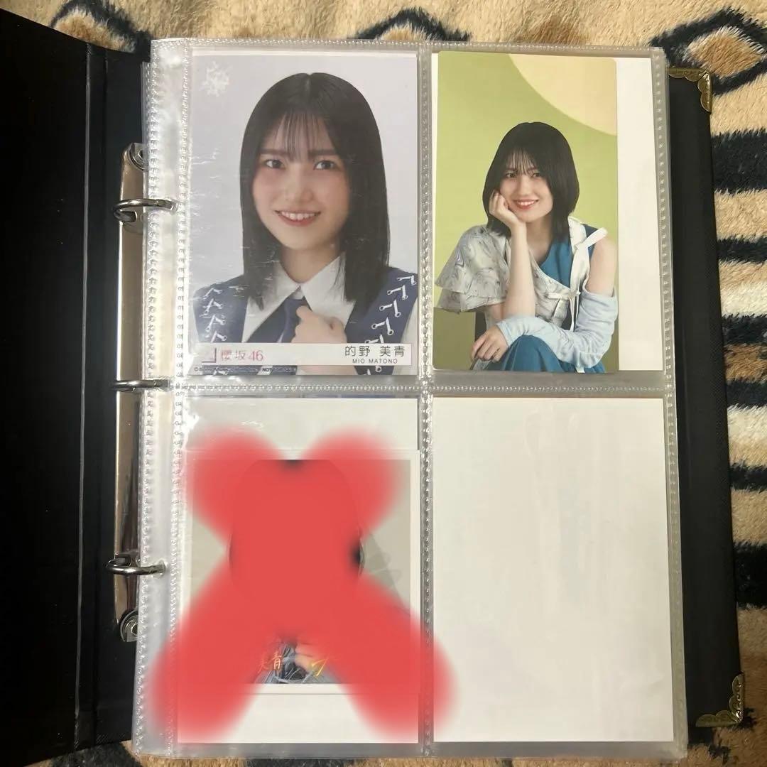 的野美青　生写真コンプ