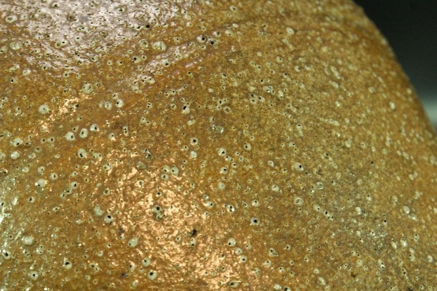 古い 信楽 茶壷 六古窯(K-XA845)