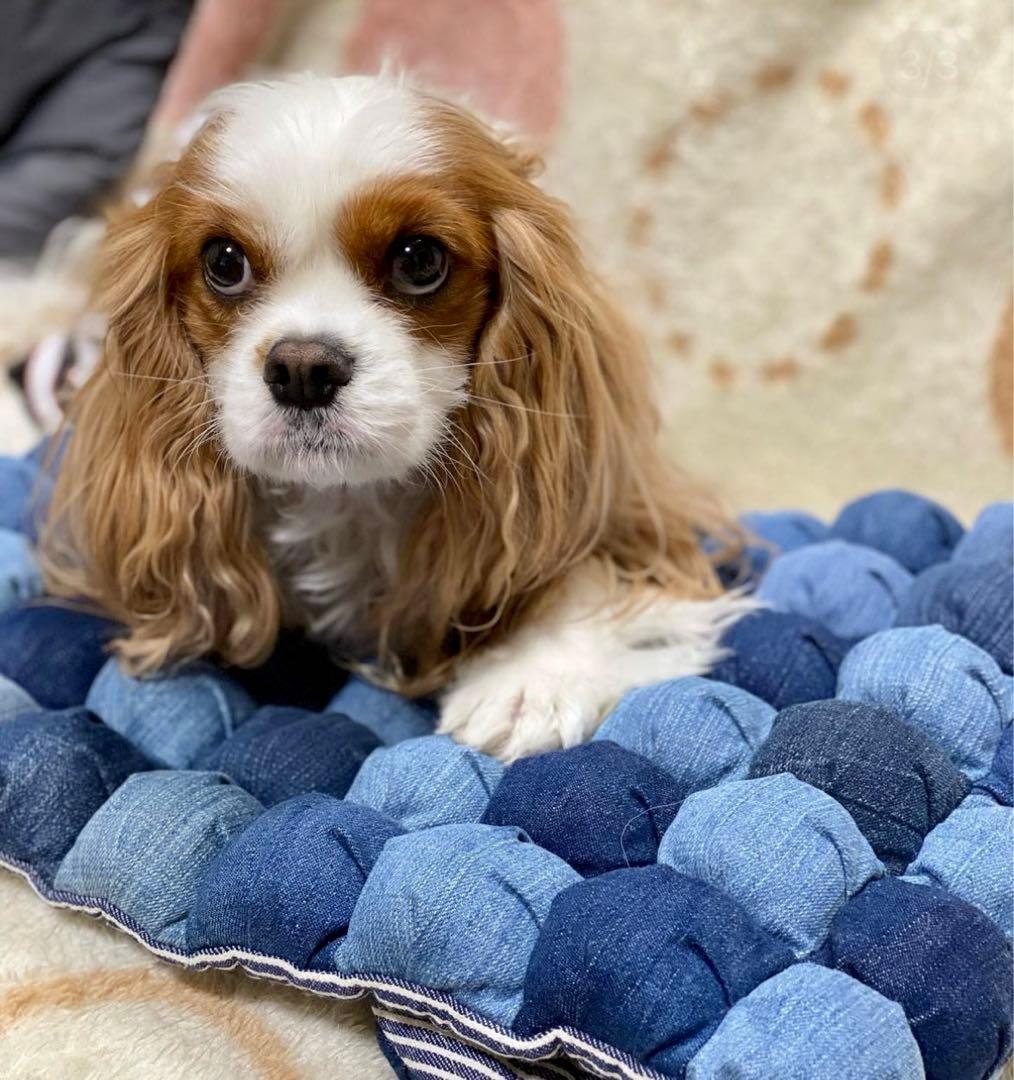 ぽこぽこカフェマット　Mサイズ　クッション　①  デニムリメイク