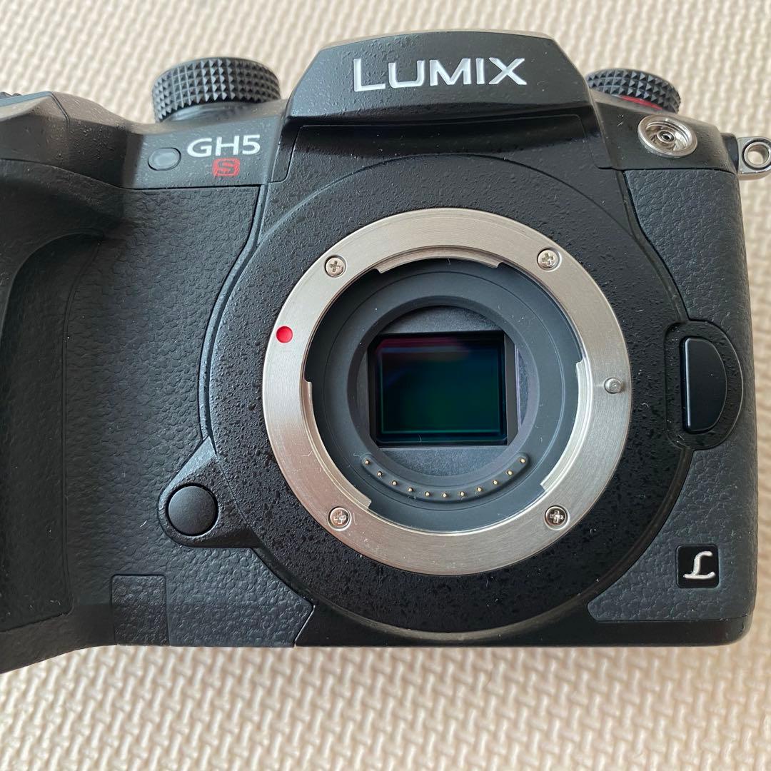 デジタルカメラ Panasonic GH5S
