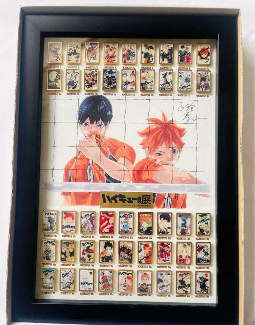 ハイキュー展 会場受注販売限定 全巻ピンズセット おまけ付き