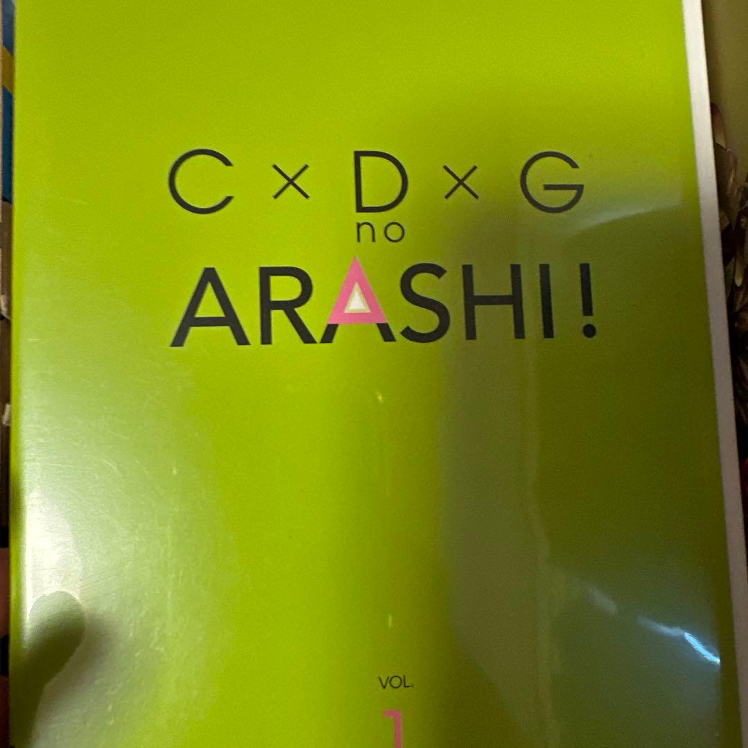 【SUN】ARASHI コンサート映像 DVD 18点セット