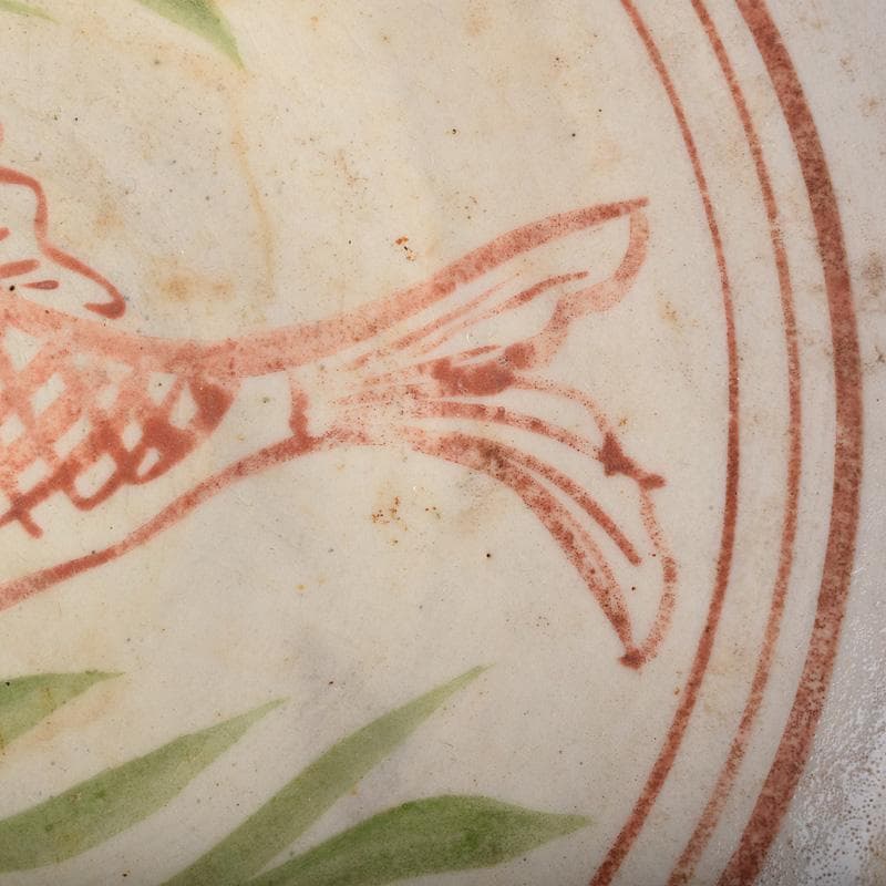 中国　赤絵　魚藻文盤　皿　V　R8757