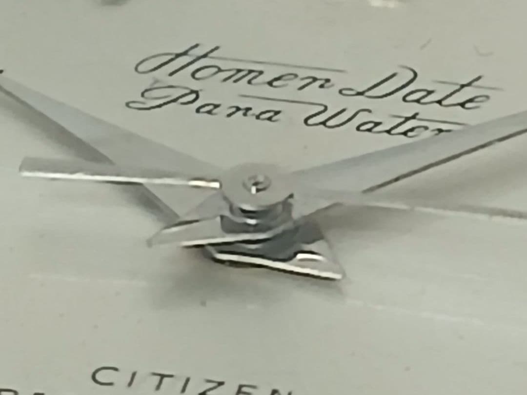 ★ポトス20　　ホーマーデイト21石パラウォーター