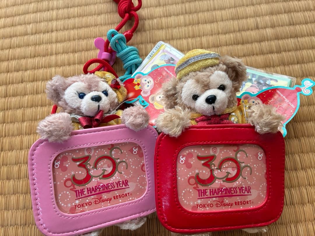 貴重！ディズニーリゾート パピネスイヤー ダッフィーパスケース 30周年　新品