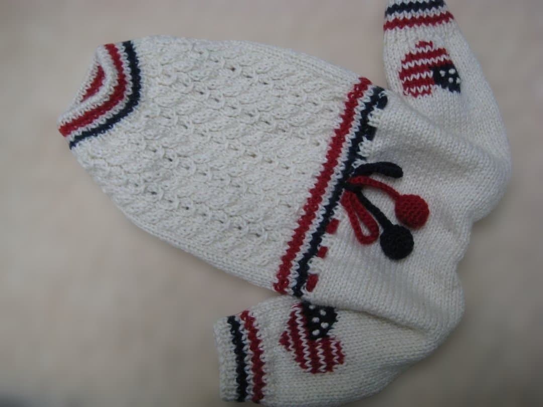 犬服♪手編み♪3名様オーダー受付終了致しましたm(__)m