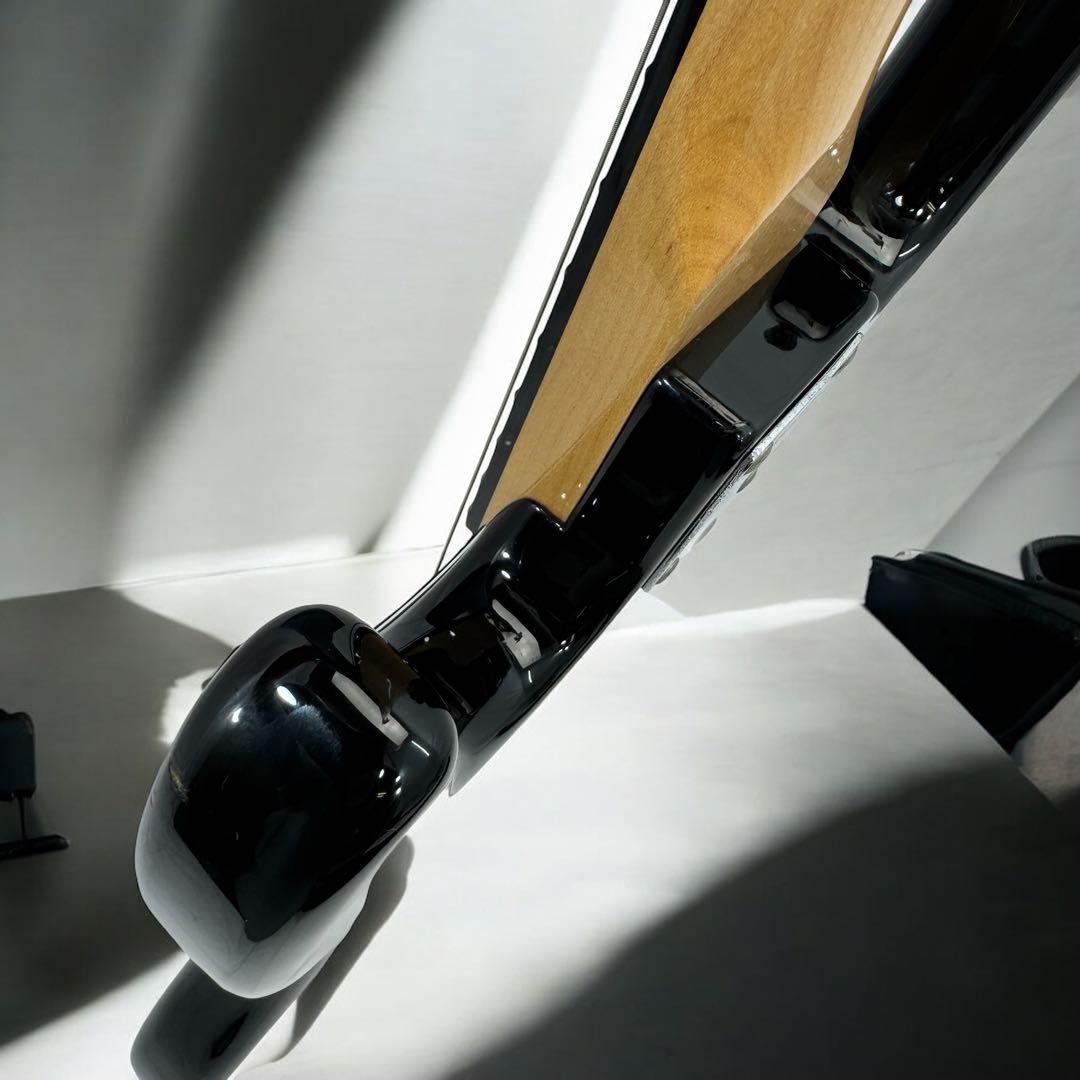 FERNANDES エレキベース RJB-45 リミテッドモデルギグバッグ付き