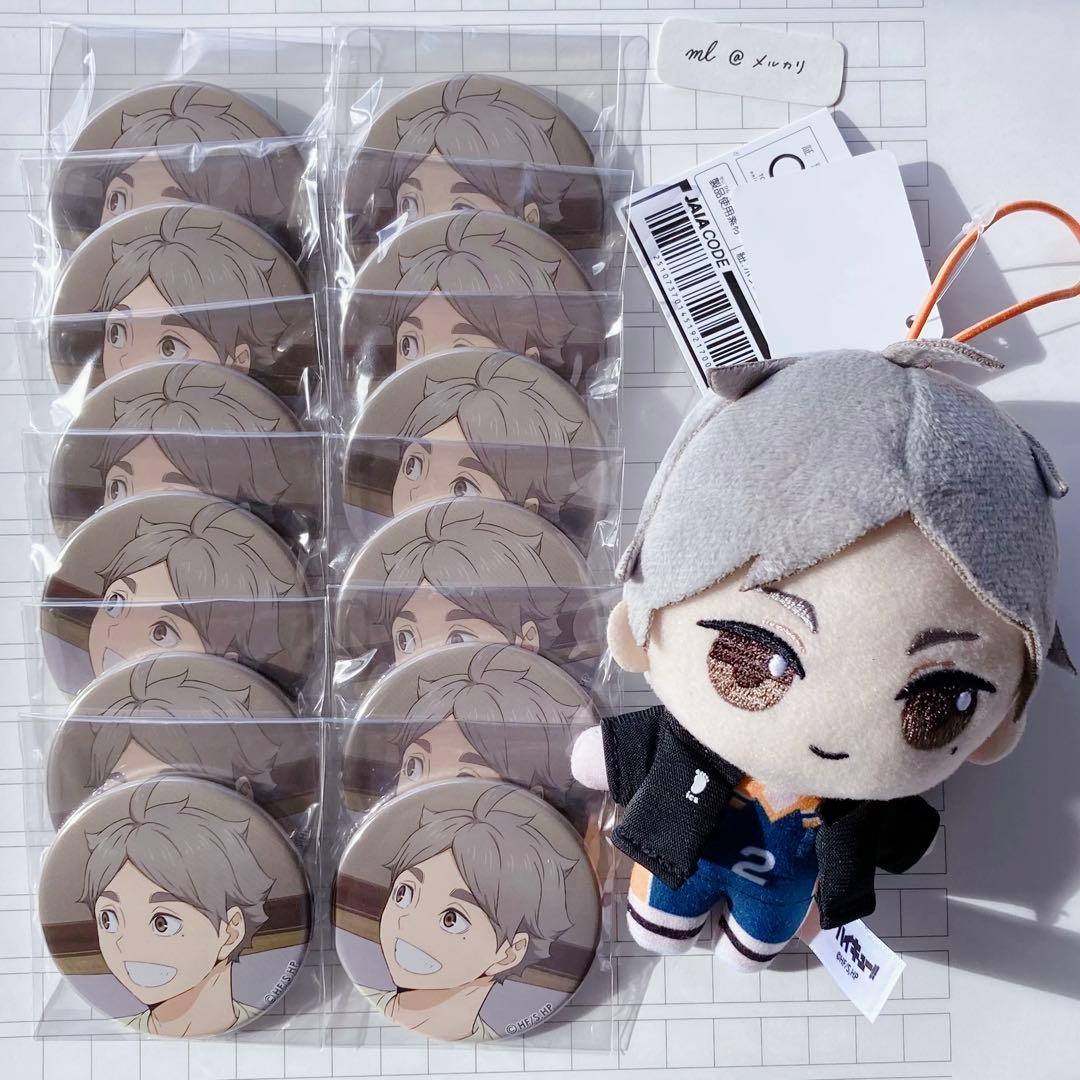 ハイキュー 菅原孝支 ぬいぐるみ 缶バッジ