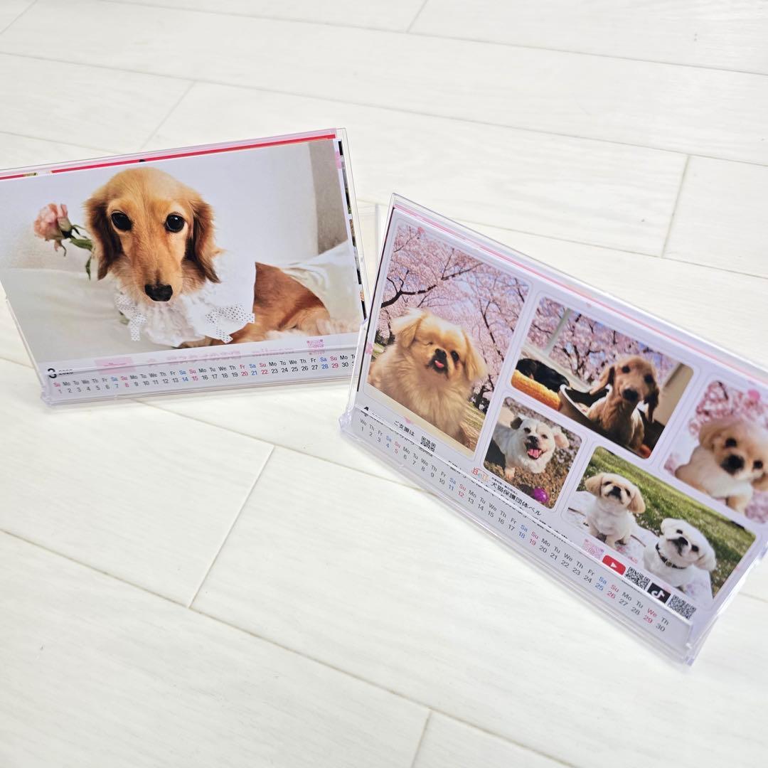 ①『犬』 卓上チャリティーカレンダー5枚セット