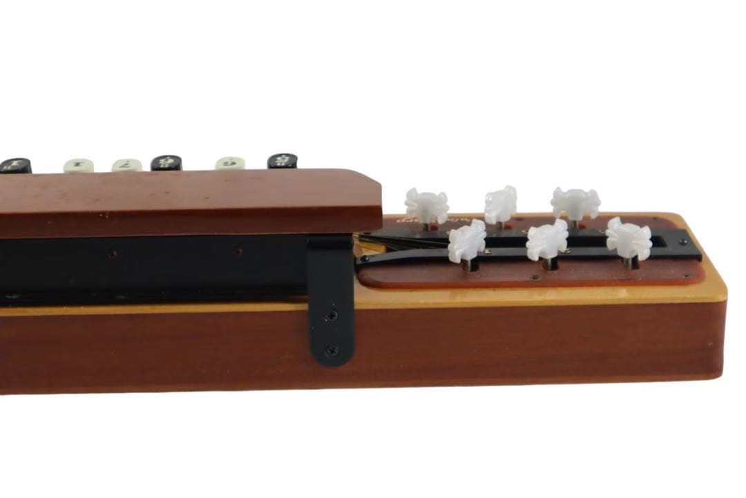 大正琴 PALM HARP ハードケース付き 簡易動作確認済み