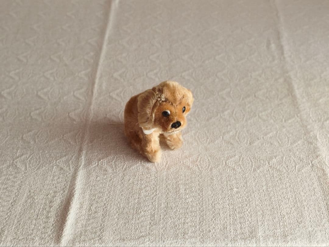 * vintage dogl ❀ きょとんとしたお顔が 可愛い ワンちゃん