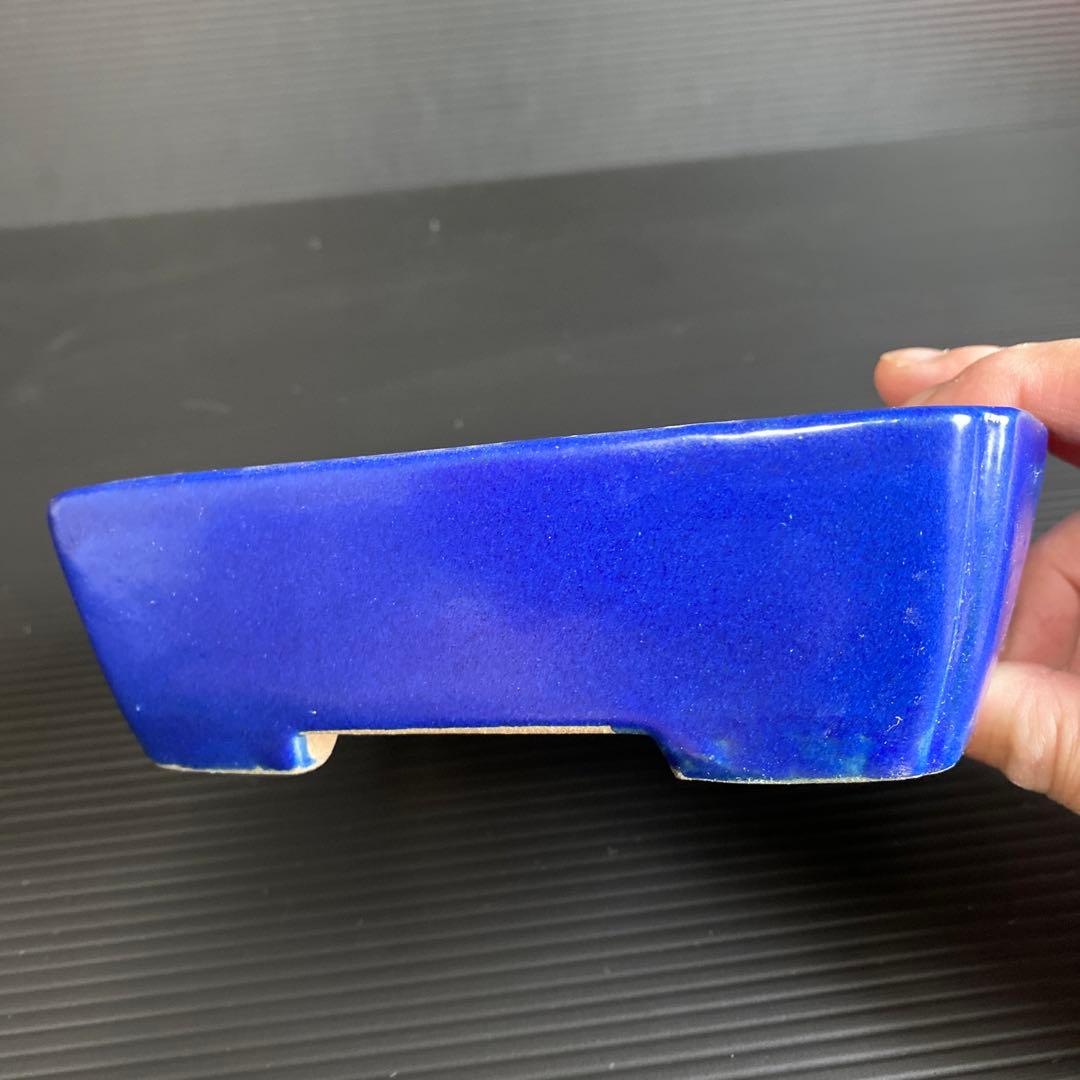 柴勝　小品盆栽