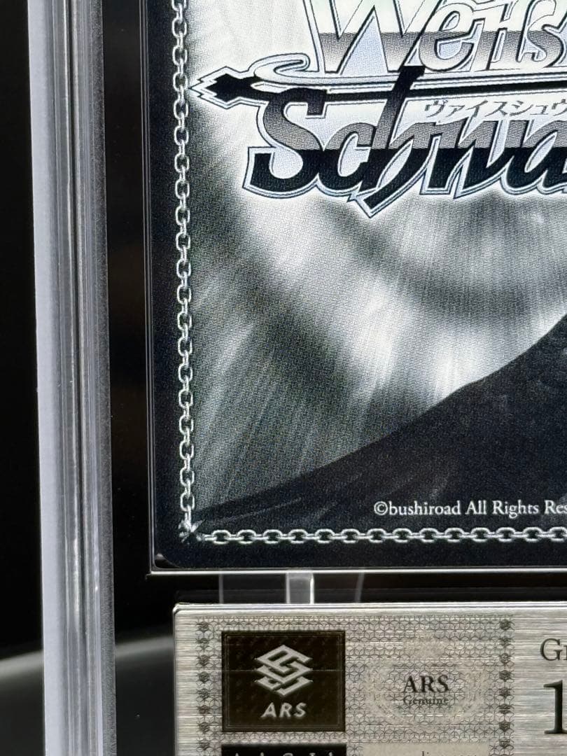 仲間を守る為の剣 エルザ SEC＋　ARS10＋　100年クエスト