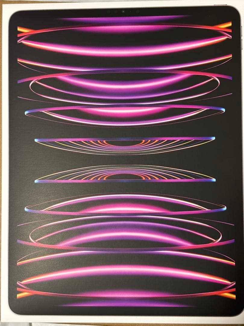 iPad Pro 12.9インチ 第6世代 256GB Appleペン付き