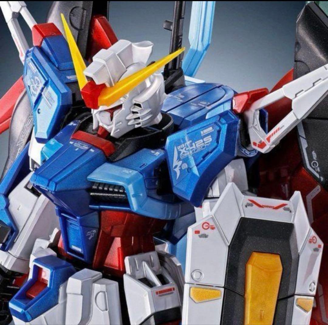 RG 1/144 デスティニーガンダム ［チタニウムフィニッシュ］光の翼セット