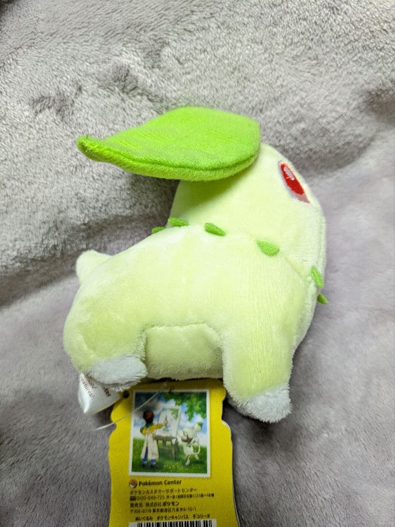 ポケモンセンター限定 ポケモンキャンパス マスコット アチャモ ぬいぐるみ