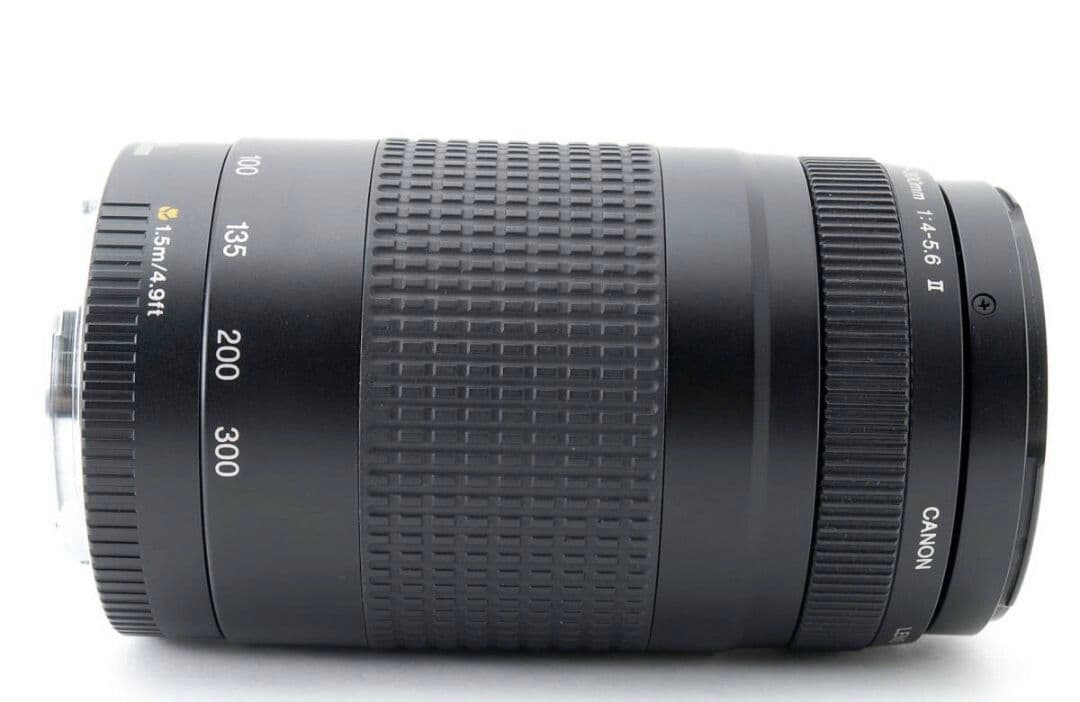 1月15日限定特価♪【超望遠レンズ】Canon EF 75-300mm Ⅱ