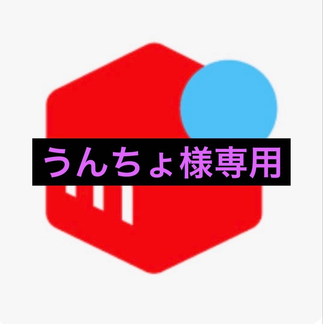 うんちょさま専用
