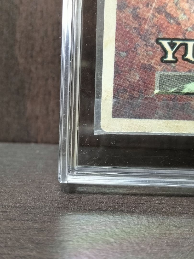 ツ*ム様 未開封　ホーリーナイトドラゴン　聖夜竜