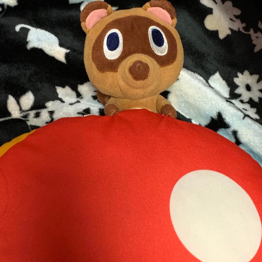 まめきちつぶきち まとめ売り