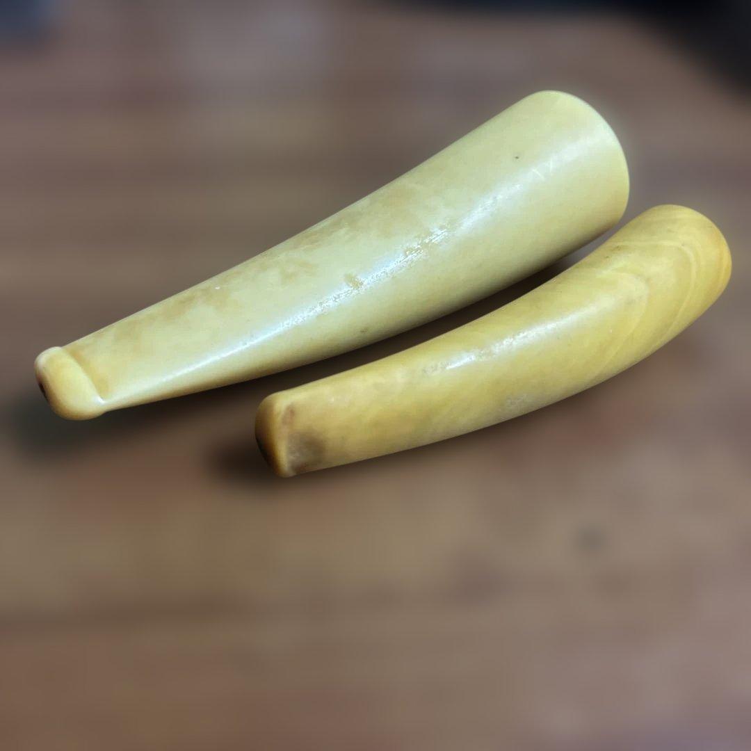 鯨歯　パイプ