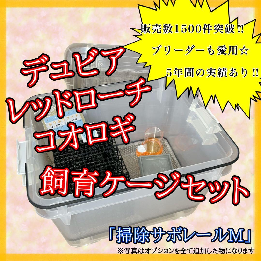 Tさん様　Ｍ (シェ)