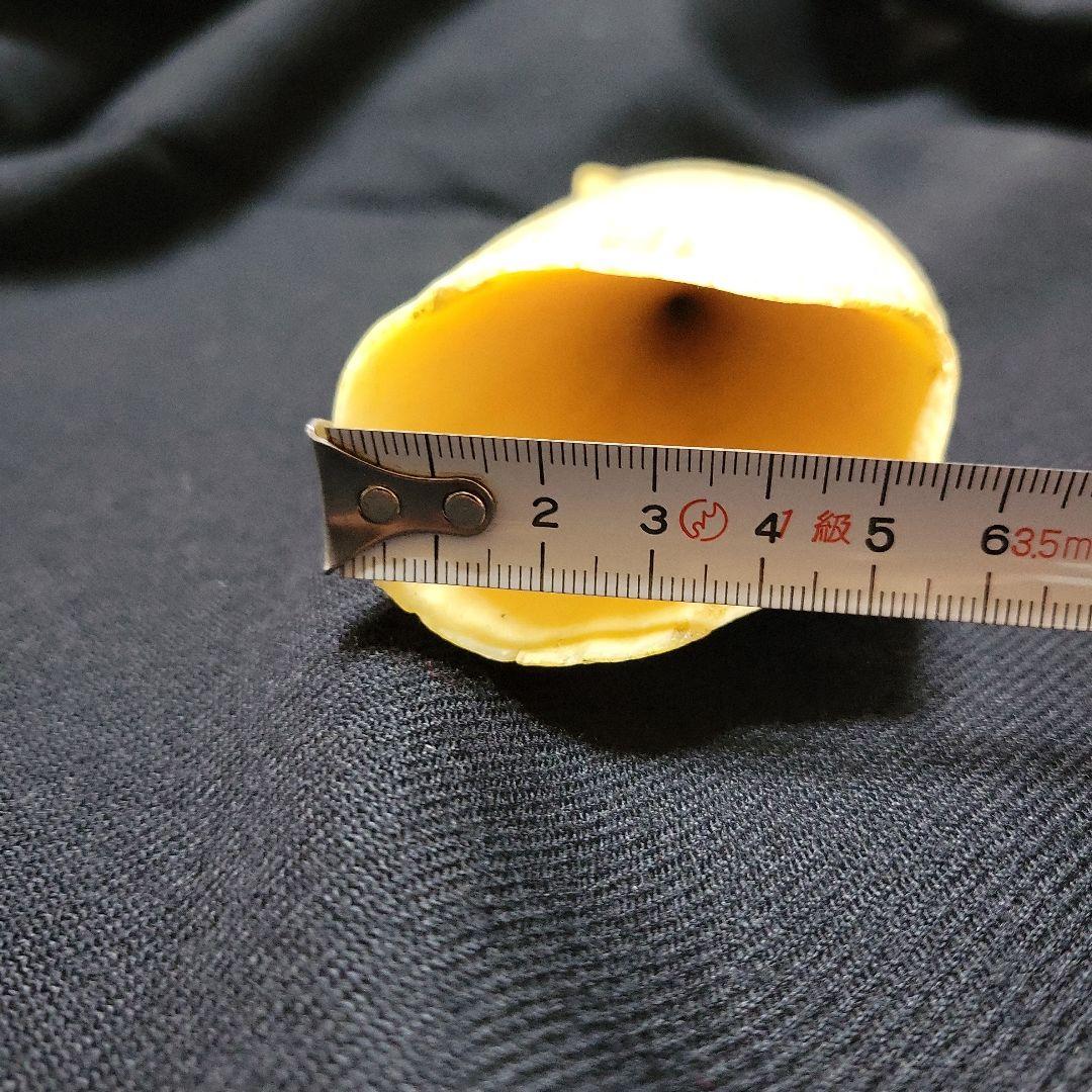 ☆　マッコウクジラ　鯨牙292.6g天然素材　印材　鯨牙　鯨歯