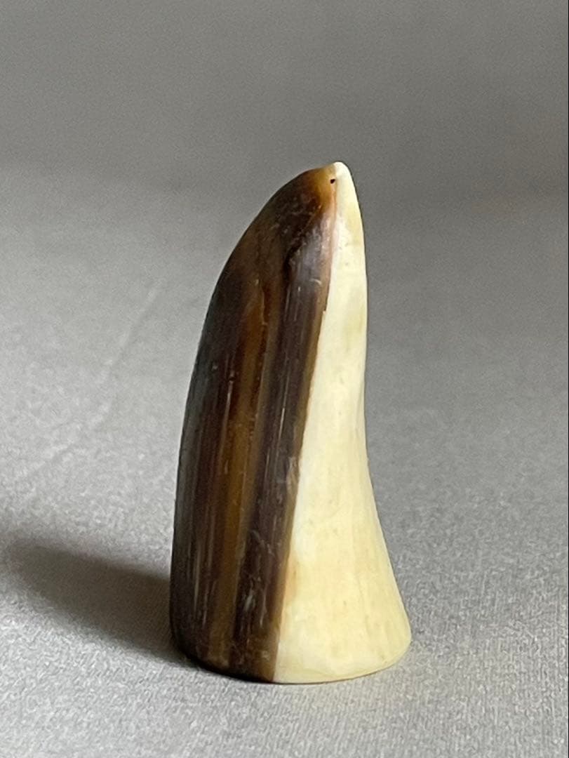 三線用　爪　鯨髭＋鯨歯　Bタイプ　最終出品分