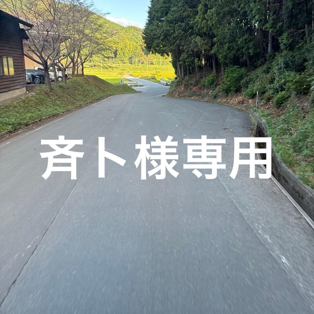 斉ト　HEALING製　カーボンシャフト 12.4 ラジアル