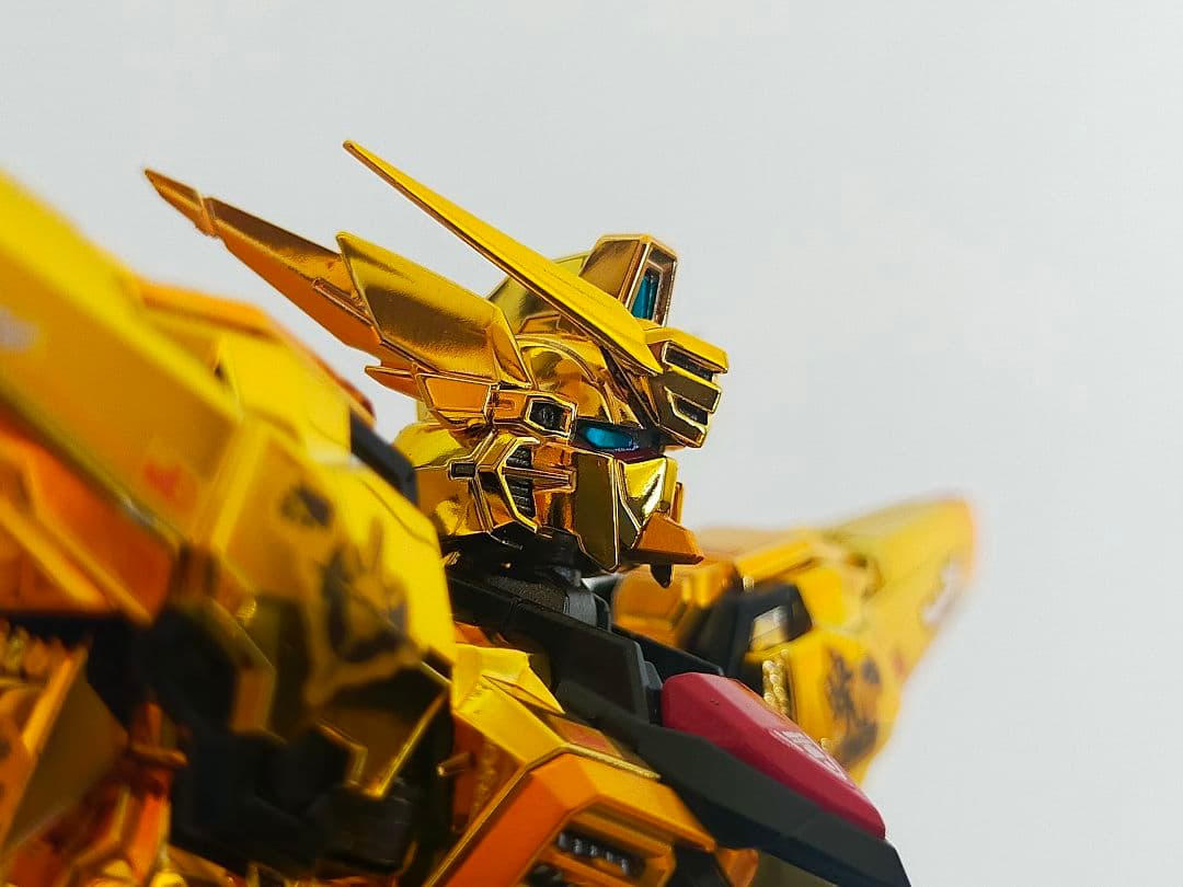 RG アカツキガンダム　オオワシ装備　塗装品