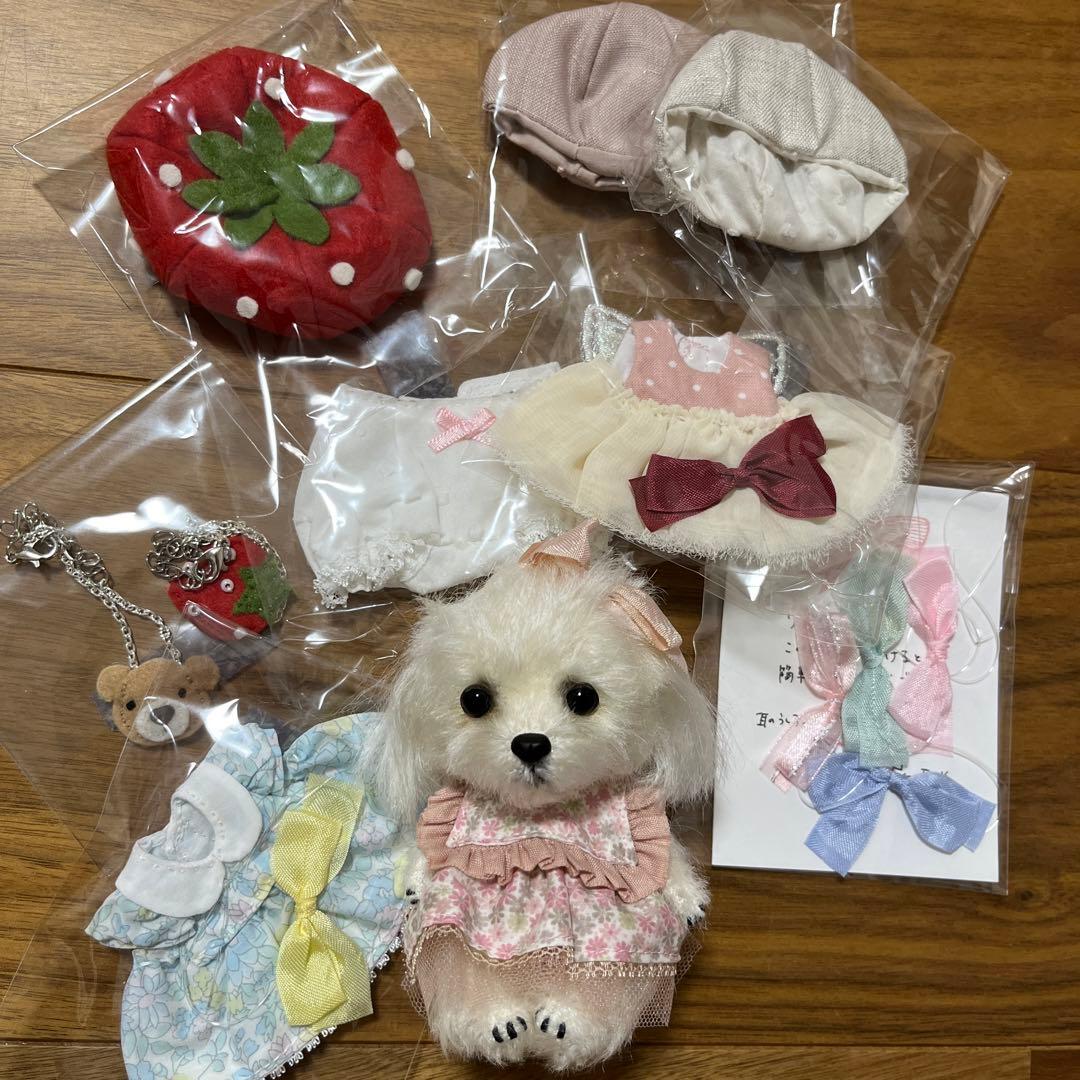 マルチーズ